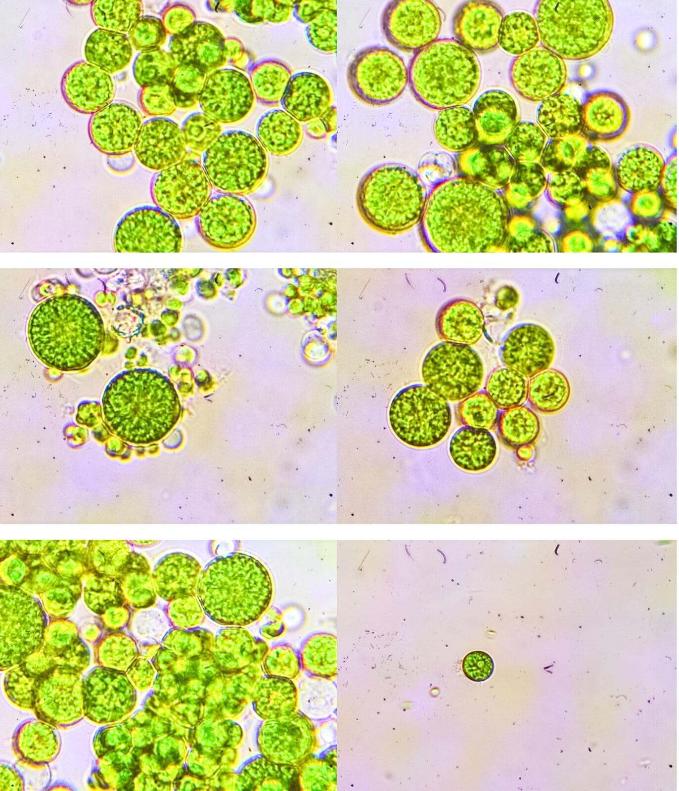 About Section Image 2